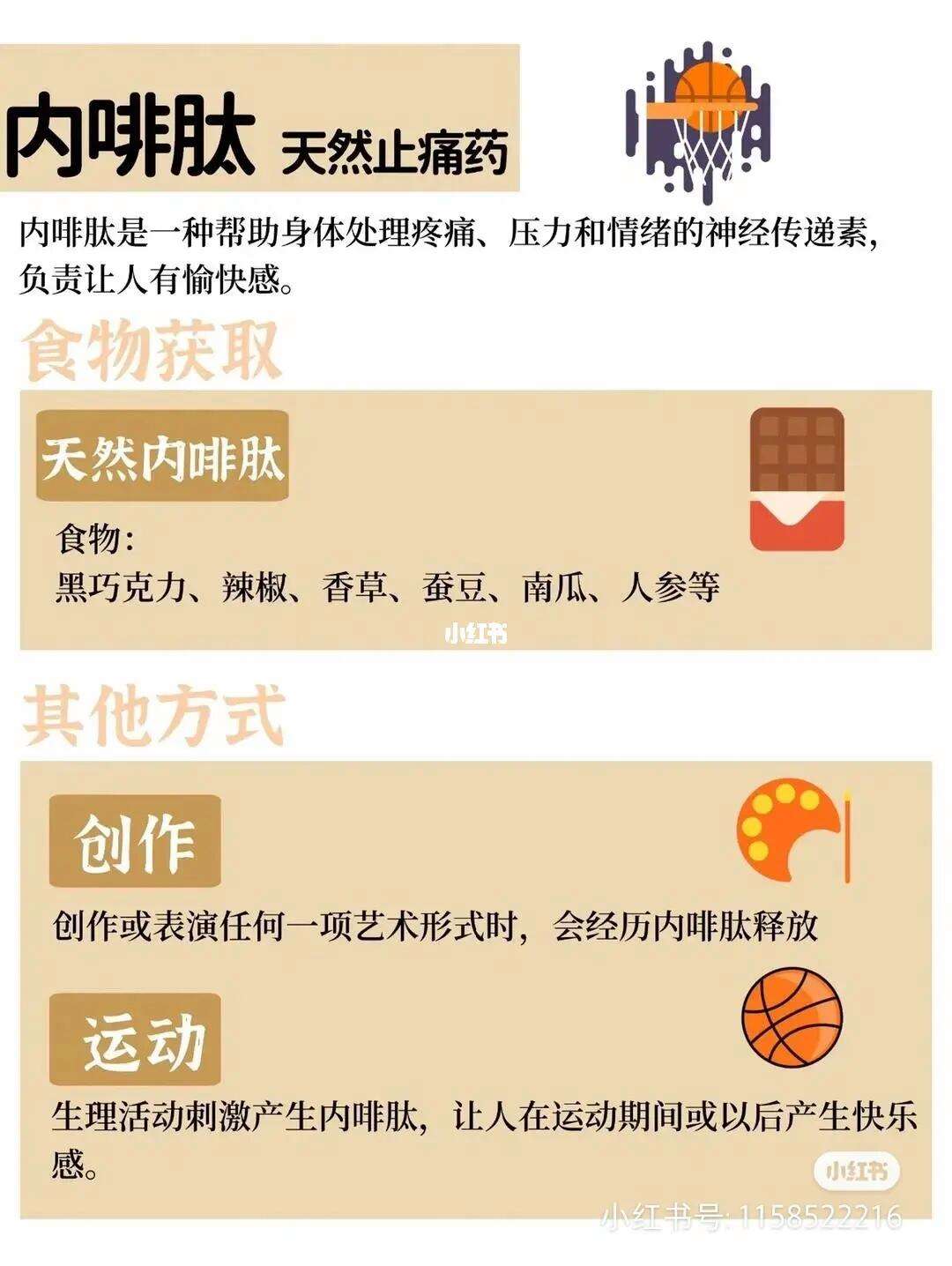 内啡肽是啥(内啡肽是啥玩意儿)